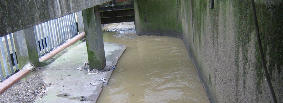 Wastewater Treatment Work Surveys